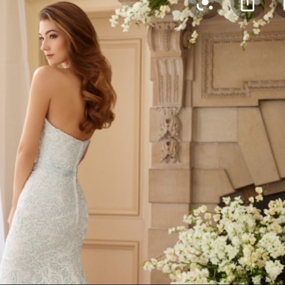 MON CHERI DAVID TUTERA WEDDING GOWN - Picture 5 of 15